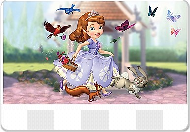LeapTV: Disney Sofia the First Educational, Active Video Game | LeapFrog