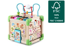 Touch & Learn Wooden Activity Cube™