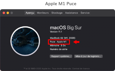 Apple M1 Puce Apple M1 Puce
