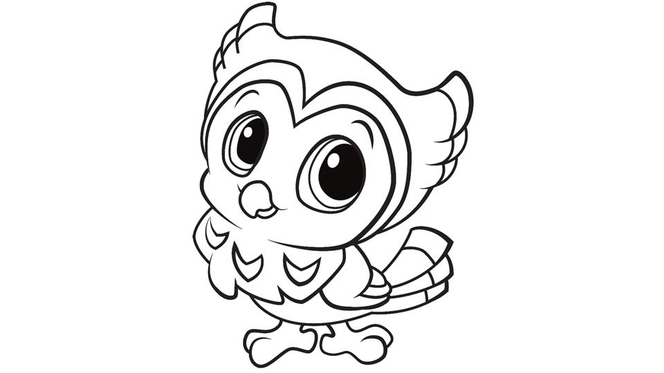 cute baby owl animals coloring pages