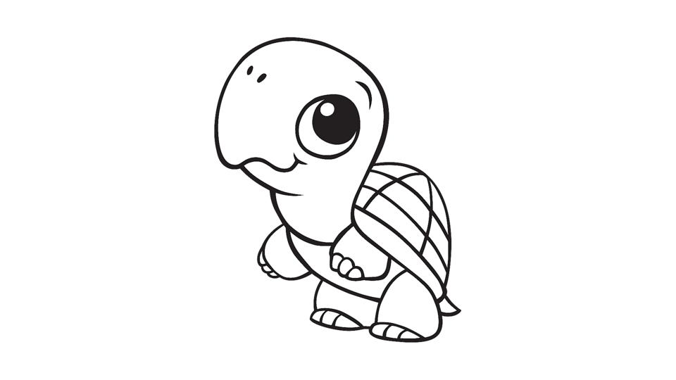 Download Learning Friends Turtle Coloring Printable