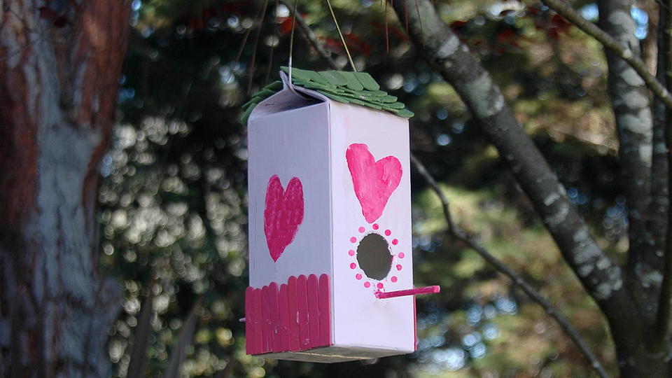 DIY Birdhouse - Birds and Blooms