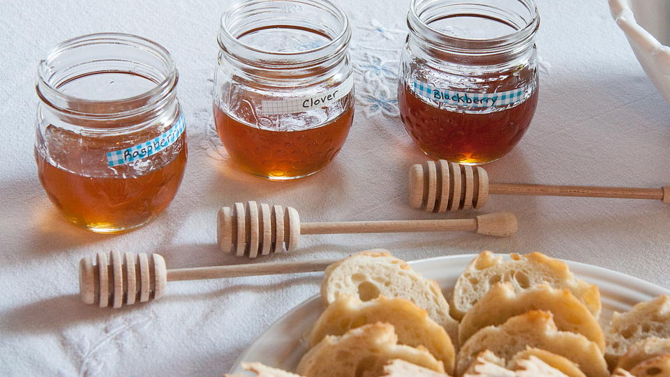 Grace’s honey tasting