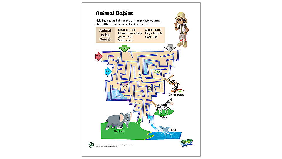 Animal baby names maze