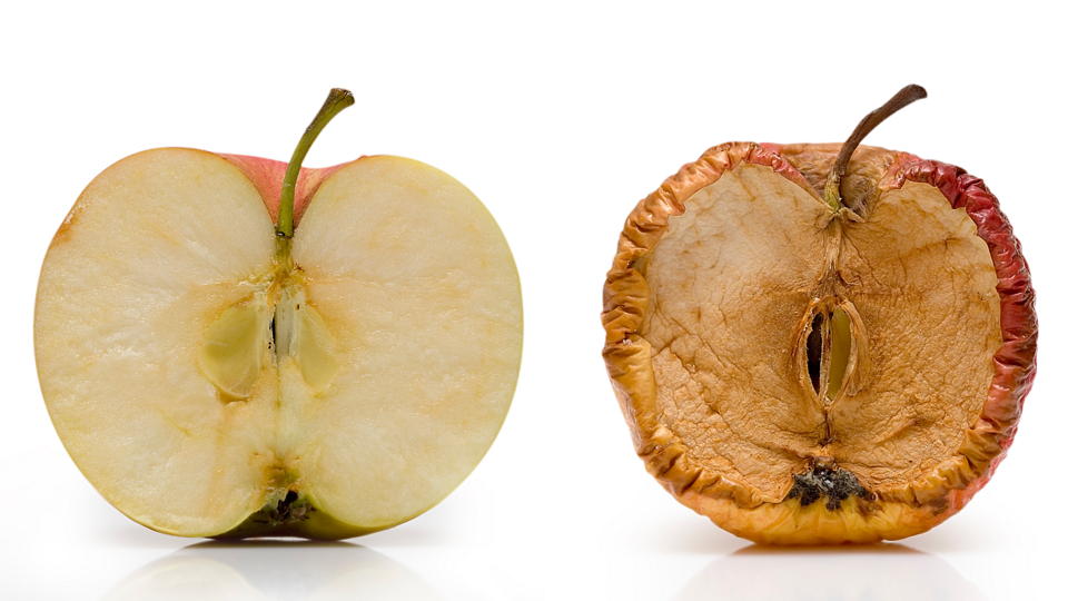 rotten-apple.jpg