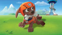 Leappad paw patrol sale