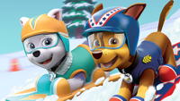 Explore the Pup-tastic Paw Patrol World 