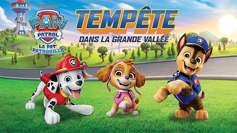 LeapMove™ PAW Patrol: Adventure Bay Heroes FRCA