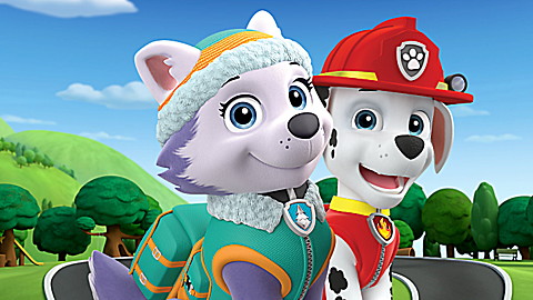 Paw Patrol: Really Cool Rescues!