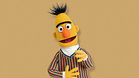 Sesame Street: Bert