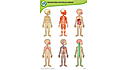 LeapReader™: Interactive Human Body Discovery Set View 5