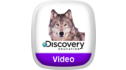 Discovery Education: Animals Around Us View 6