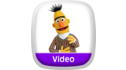 Sesame Street: Bert's Pigeon Search View 2