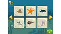 Brain Blocks Flash Cards: Sea Animals View 6