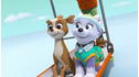 Paw Patrol: Really Cool Rescues! View 4