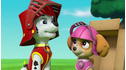 PAW Patrol: All Paws On Deck! View 4