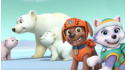 PAW Patrol: Unleashed! View 1