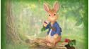Peter Rabbit: Rabbit Tales View 1