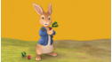 Peter Rabbit: Saves the Day View 1