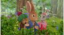 Peter Rabbit: Springtime is Playtime! View 2