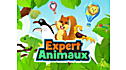 RockIt Twist Pack de jeux Expert animaux aria.image.view 1