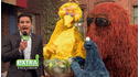 Sesame Street: Me Am What Me Am View 2