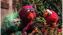 Sesame Street: Where's the Itsy Bitsy Spider? View 2