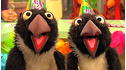 Sesame Street: Twins Day On Sesame Street View 2