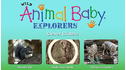 Wild Animal Baby Explorers: Clever Critters View 5