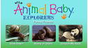Wild Animal Baby Explorers: Funny Friends – The Slow, the Silly and the Scratchy View 5