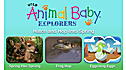 Wild Animal Baby Explorers: Hatch and Hop into Spring View 5