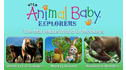 Wild Animal Baby Explorers: The Marvelous World of Monkeys View 5