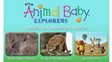 Wild Animal Baby Explorers: Hooray for House and Home View 5