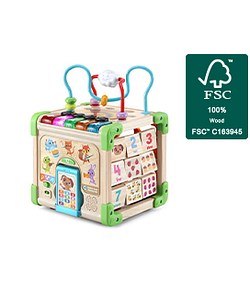 Touch & Learn Wooden Activity Cube™